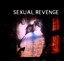Watch Free Sexual Revenge (2004)
