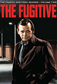 Watch Full :The Fugitive (1963 1967)