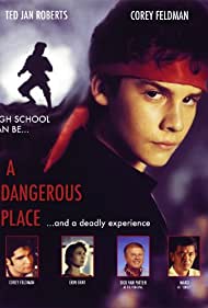 Watch Free A Dangerous Place (1994)