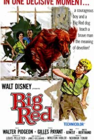 Watch Free Big Red (1962)