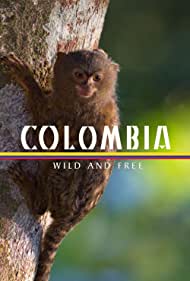 Watch Free Colombia Wild and Free (2022)