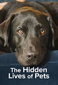 Watch Free The Hidden Lives of Pets (2022)