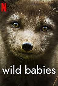 Watch Free Wild Babies (2022-)