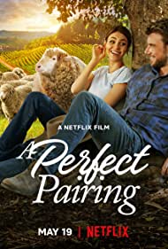 Watch Free A Perfect Pairing (2022)
