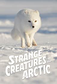 Watch Free Strange Creatures of the Arctic (2022)