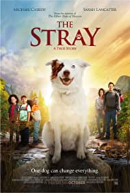 Watch Free The Stray (2017)