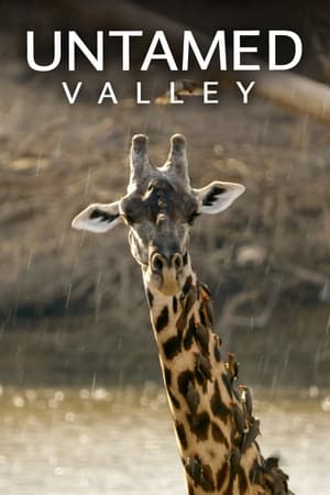 Watch Free Untamed Valley (2017–)