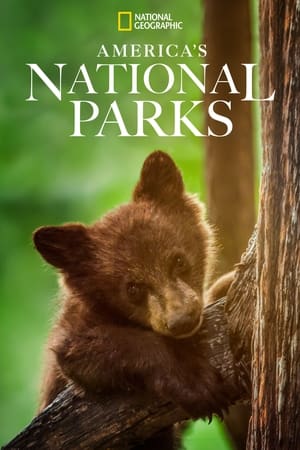 Watch Free Americas National Parks (2022-)