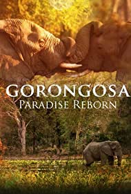 Watch Full Movie :Gorongosa Paradise Reborn (2022)