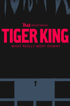 Watch Free TMZ Investigates Tiger King What Really Went Down (2020)