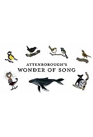 Watch Free Attenboroughs Wonder of Song (2022)