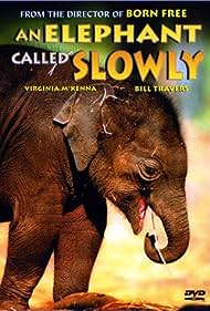 Watch Full Movie :An Elephant Called Slowly (1970)