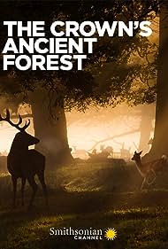 Watch Free The Crowns Ancient Forest (2021)