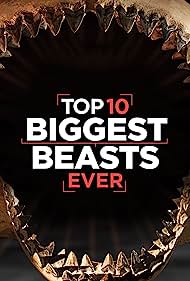 Watch Full Movie :Top 10 Biggest Beasts Ever (2015)