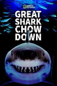 Watch Full Movie :Great Shark Chow Down (2019)