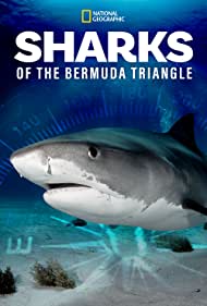 Watch Free Sharks of the Bermuda Triangle (2020)
