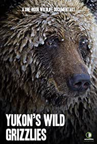 Watch Full Movie :Yukons Wild Grizzlies (2021)