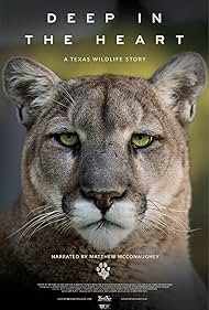 Watch Free Deep in the Heart A Texas Wildlife Story (2022)