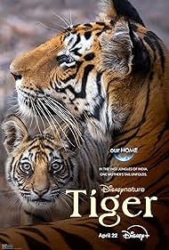 Watch Full Movie :Tiger (2024)