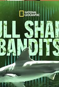 Watch Free Bull Shark Bandits (2023)