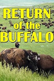 Watch Free The Return of the Buffalo Restoring the Great American Prairie (2008)