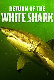 Watch Free Return of the White Shark (2023)