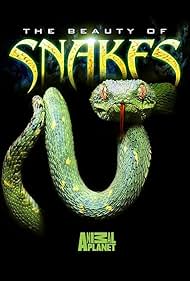 Watch Free Beauty of Snakes (2003)