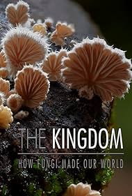 Watch Full Movie :The Kingdom How Fungi Made Our World (2018)