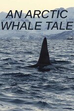 Watch Free An Arctic Whale Tale (2022)