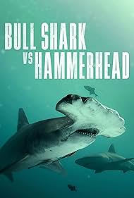 Watch Free Bull Shark Vs Hammerhead (2023)