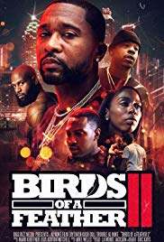 Watch Free Birds of a Feather 2 (2018)
