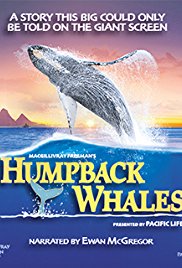 Watch Free Humpback Whales (2015)