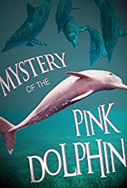 Watch Free The Mystery of the Pink Dolphin (2015)
