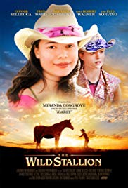 Watch Full Movie :The Wild Stallion (2009)