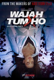 Watch Full Movie :Wajah Tum Ho (2016)