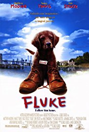 Watch Full Movie :Fluke (1995)