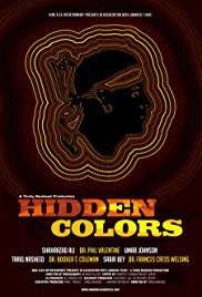 Watch Free Hidden Colors (2011)