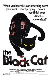 Watch Free The Black Cat (1981)