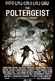 Watch Full Movie :The Poltergeist of Borley Forest (2013)