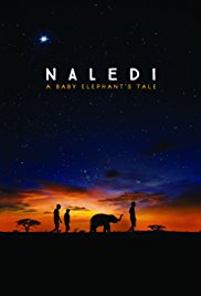 Watch Free Naledi: A Baby Elephants Tale (2016)