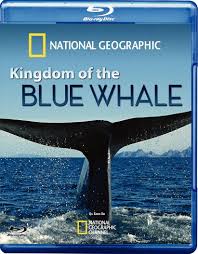 Watch Free Kingdom of the Blue Whale (2009)